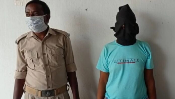 murder mystry murder mystry