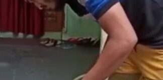 Web Story: घर में मिला सांपो का कुनबा, टाइल्स के नीचे मिले 23 सांप cropped-Barwah-snake.jpg