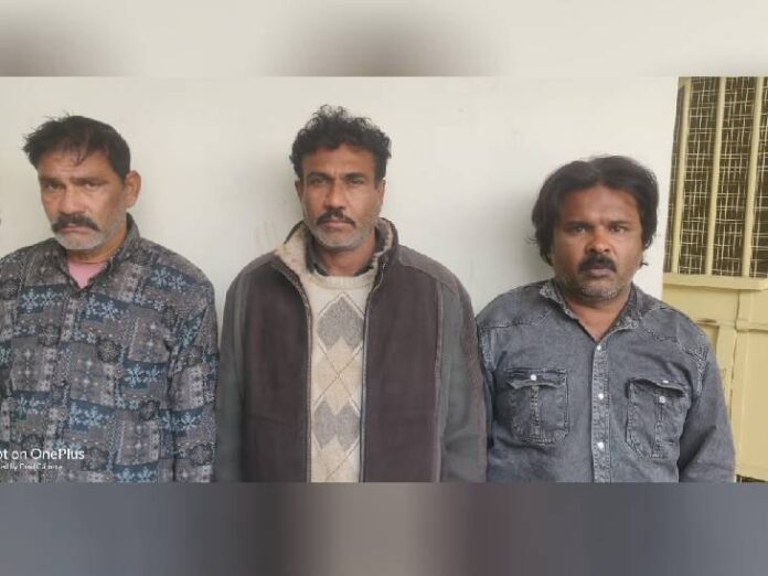 IMG_20240218_190310_449