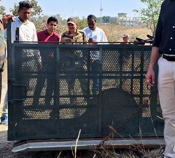 IMG_20240315_145540_602